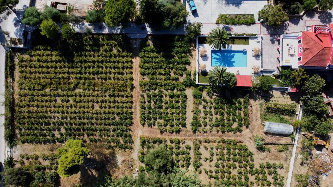 Kato Yerakarion Zissis Villa & Pool 5Min Drive To Beach מראה חיצוני תמונה